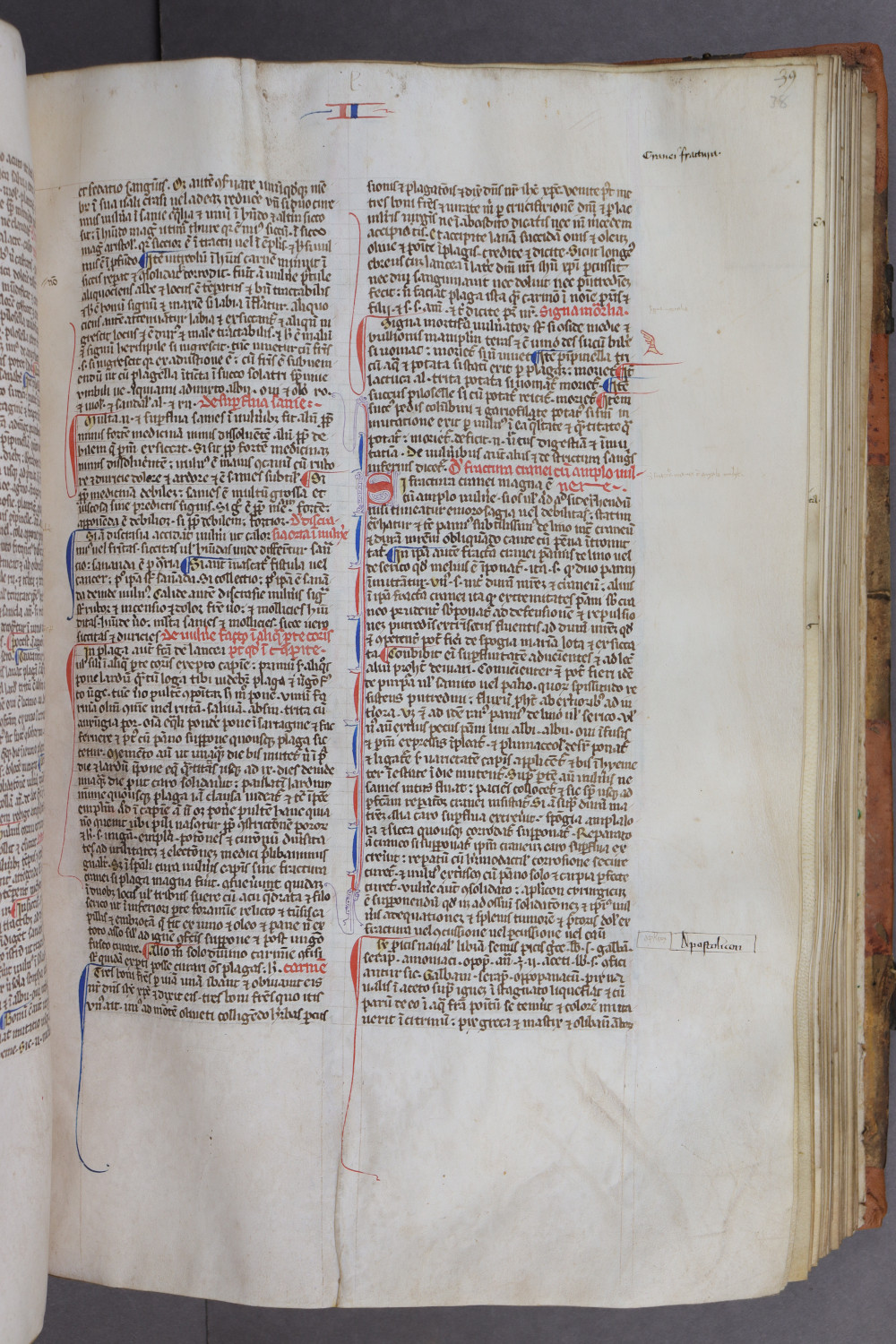 Folio 38 recto